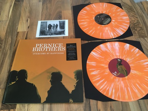 Pernice brothers overcome - brothers,