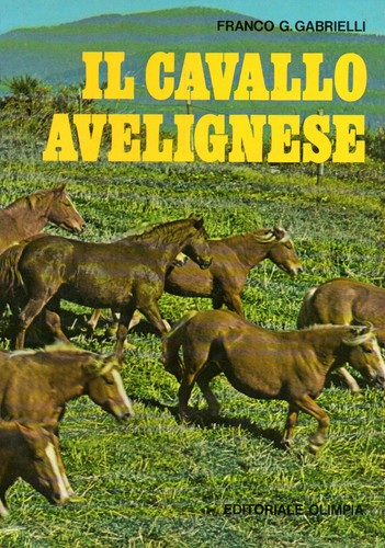 Cavallo avelignese franco - il,