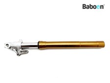 Gamba forcella anteriore