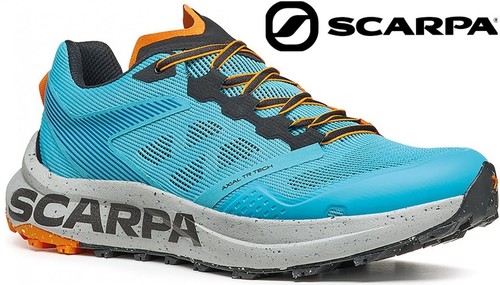 Scarpa spin - spin, planet