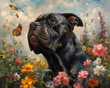 Corso di canna con farfalla