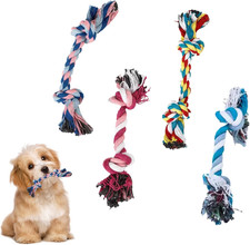 Set Da 4 Pezzi Cuccioli Di