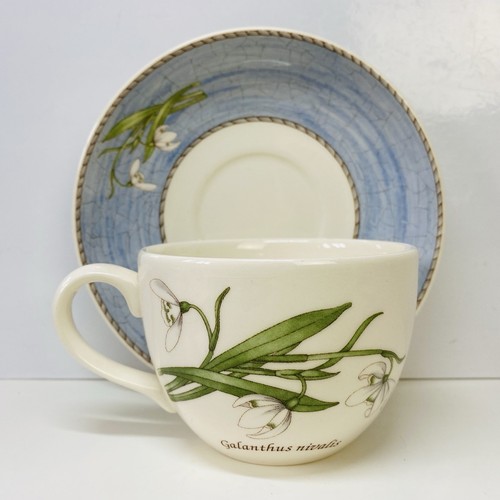 Tazza piattino wedgwood - tazza,