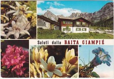 POZZA DI FASSA - TRENTO - VAL S. NICOLO' - BAITA CIAMPIE' -95288-