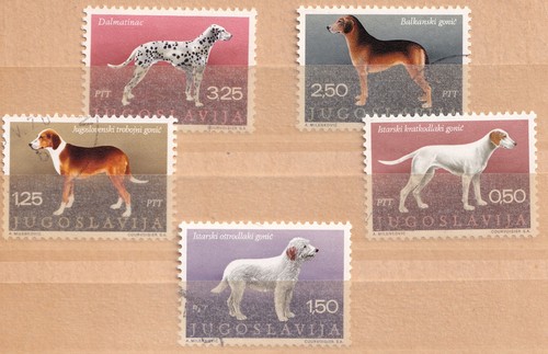 Jugoslavia 1970 razze cani - jugoslavia, 1970,