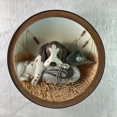 Piastra field pup - piastra, follies