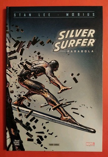 Silver surfer parabola - silver,