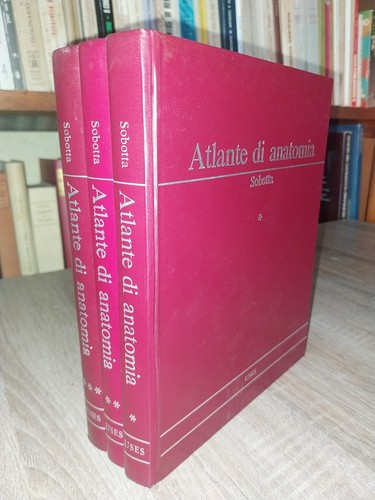 Sobotta becher atlante - –, ;