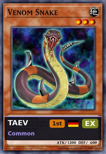 Serpente velenoso taev - serpente,