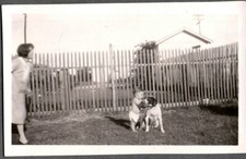 FOTOGRAFIA D'EPOCA 1929 DONNA