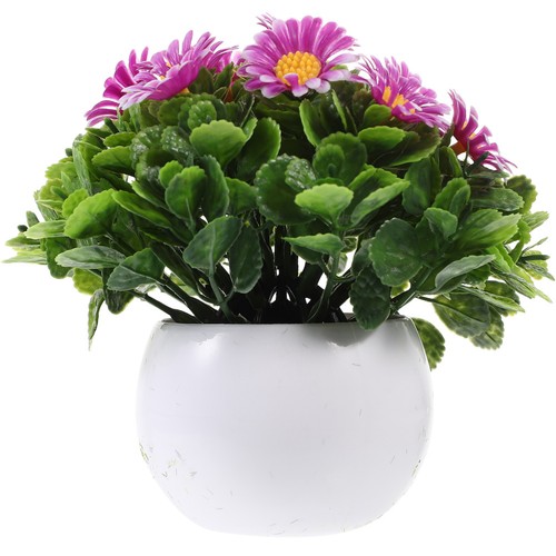 Piante decorative artificiali - ,