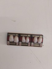 Odontotecnico Stecca Denti
