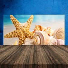 Paraschizzi da Cucina 120x60