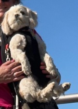 ZAINO TRASPORTINO ANTERIORE TAGLIA M CANI FINO A 20LB zip incrociata