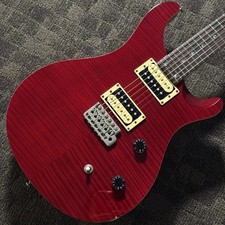 Paul Reed Smith PRS SE CUSTOM