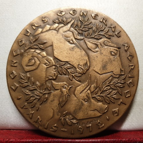 1972 59mm medaglia arte - arte, bronzo