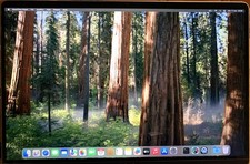 Monitor Apple Macbook PRO