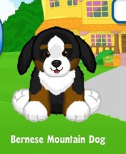 Webkinz Bernese Mountain Dog