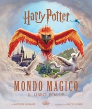 HARRY POTTER MONDO MAGICO - IL