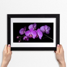 Cornici Legno MDF Foto Poster