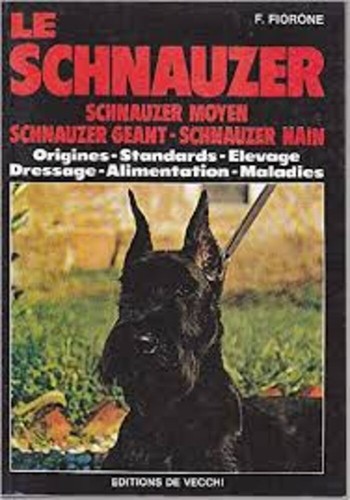Schnauzer medio - il,
