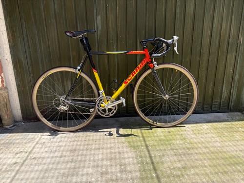 Bici corsa scapin - da, team