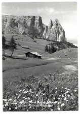 Dolomiti -  Alpe di Siusi -