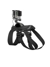 Gopro adogm 001 fetch - gopro,
