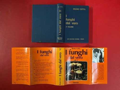Bruno cetto funghi - bruno,