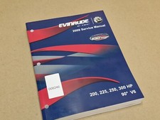 Evinrude 2009 E-Tec Fuoribordo