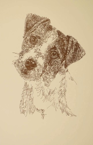 Jack russell terrier print 34 - terrier, #34
