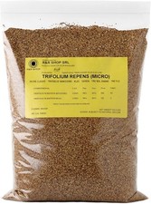 - Semi per Prato, Trifoglio