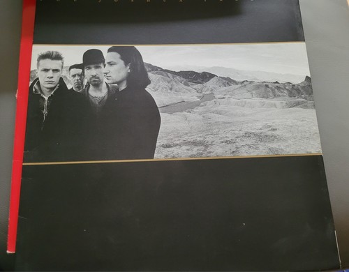 Joshua tree nm - -,