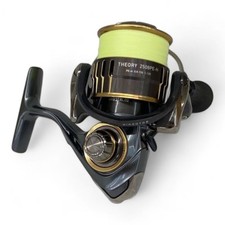 Mulinello DAIWA THEORY