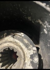 Elica  Fuori Bordo Evirude