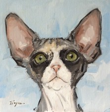 Sphynx gatto arte originale -
