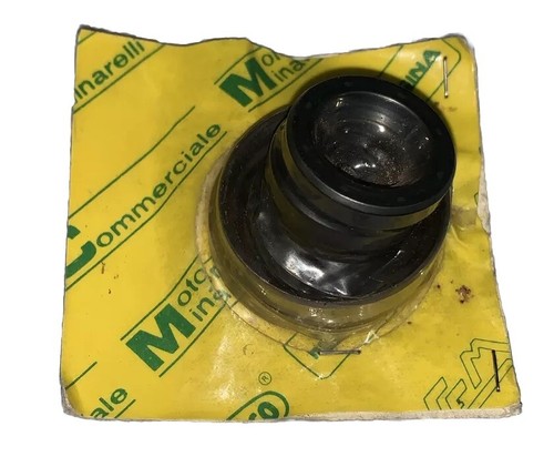 Kit paraoli motore minarelli - motore,