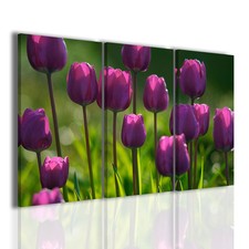 Quadri moderni Pink Tulips