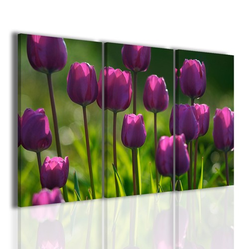 Quadri moderni pink tulips - quadri,