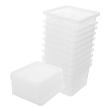  10 Pcs Teca Per Rettili