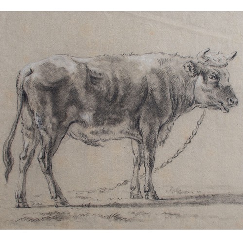 Gillis smak gregoor mucca - gillis,