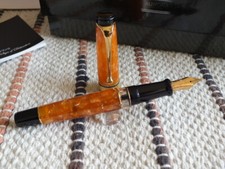 Penna stilografica Aurora Ltd