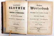 Dizionario tascabile della