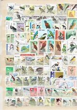 UCCELLI, BIRDS - GRANDE LOTTO OLTRE 100 DIFFERENTI PERFETTI, VARI STATI