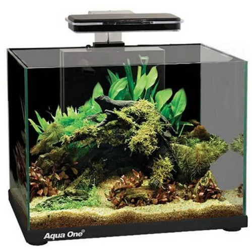 Aqua one focus - aqua, serbatoio