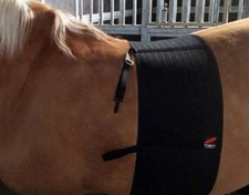 Fascia rispetto zandona - fascia,