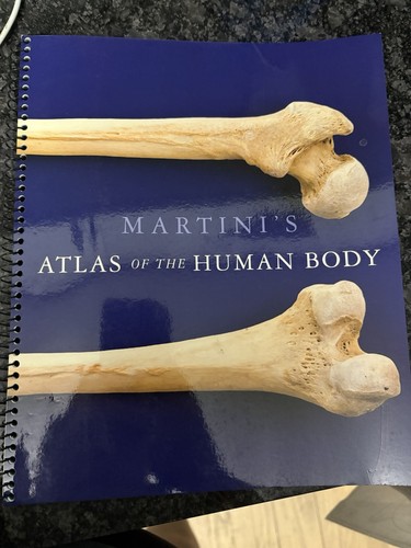 Martini atlas the - martini's,
