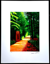 David Hockney - - 65x50 cm