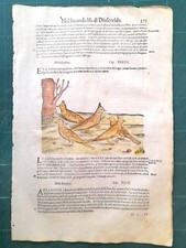 MATTIOLI MATTHIOLI Erbario a