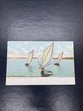 Vtg Postcard Cat Boat Race